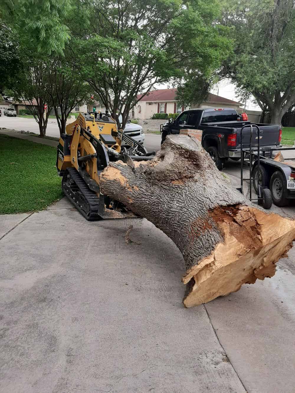 Tree Removal image