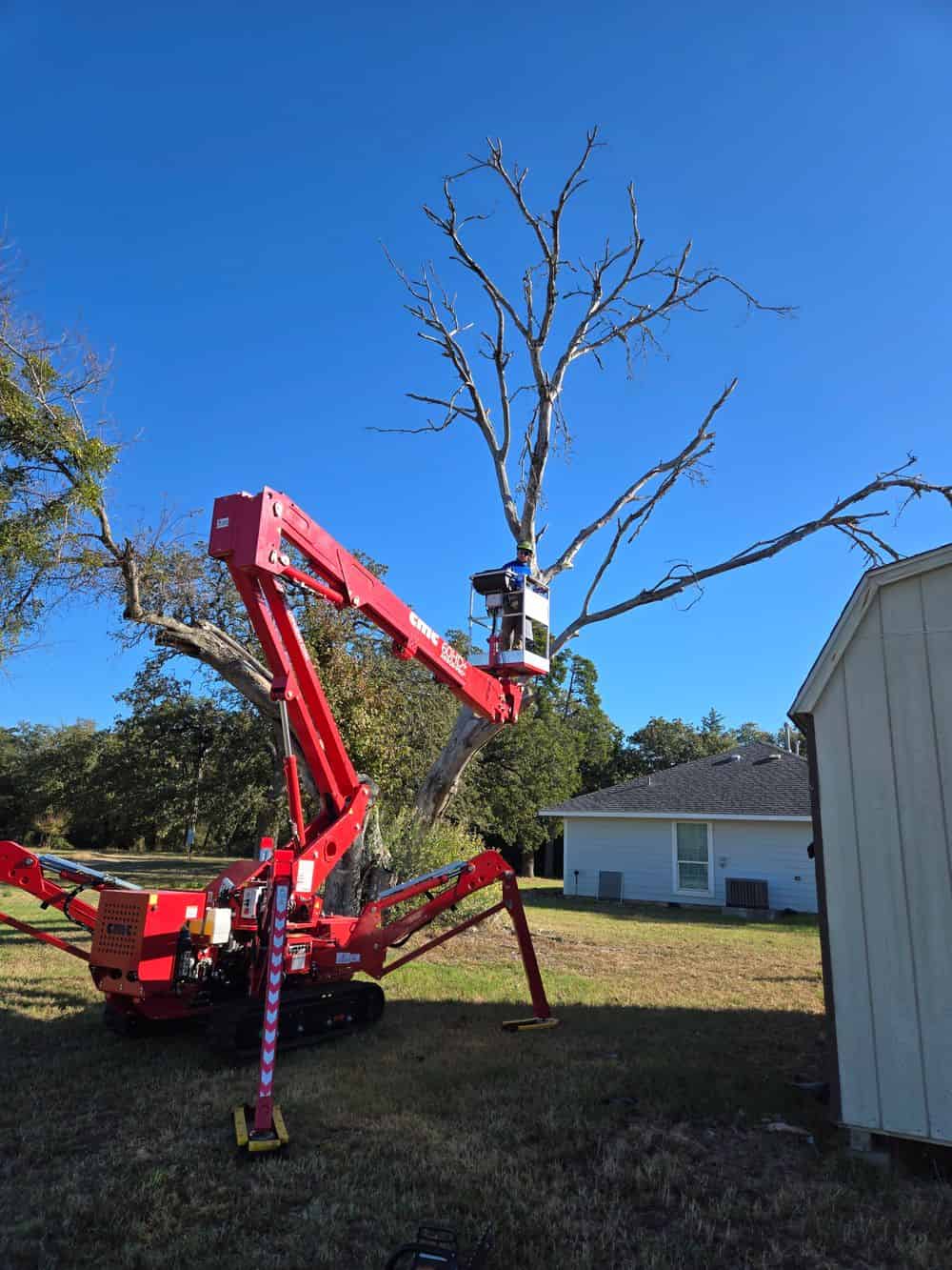  Tree Trimming image