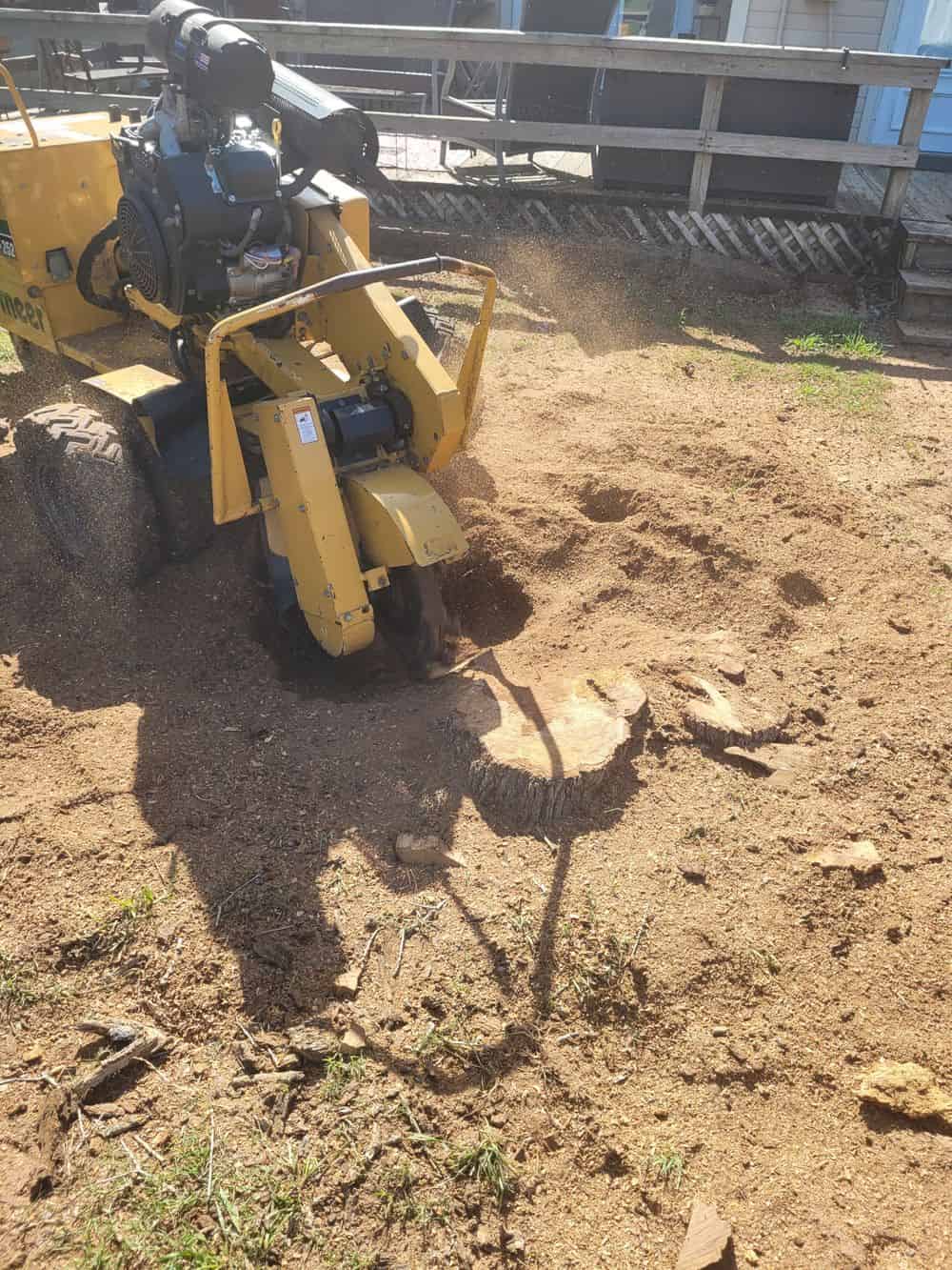 Stump Grinding image