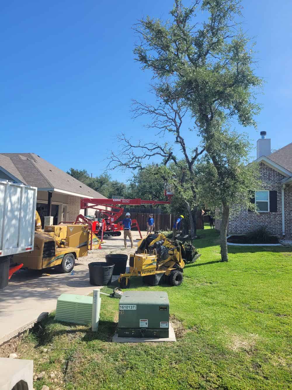 Tree Installation image
