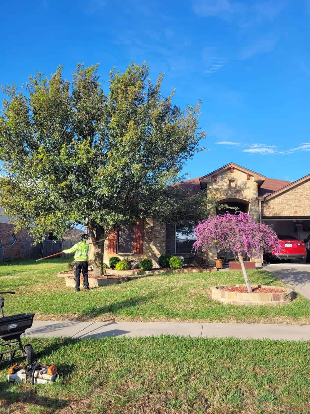 Tree Health Care image