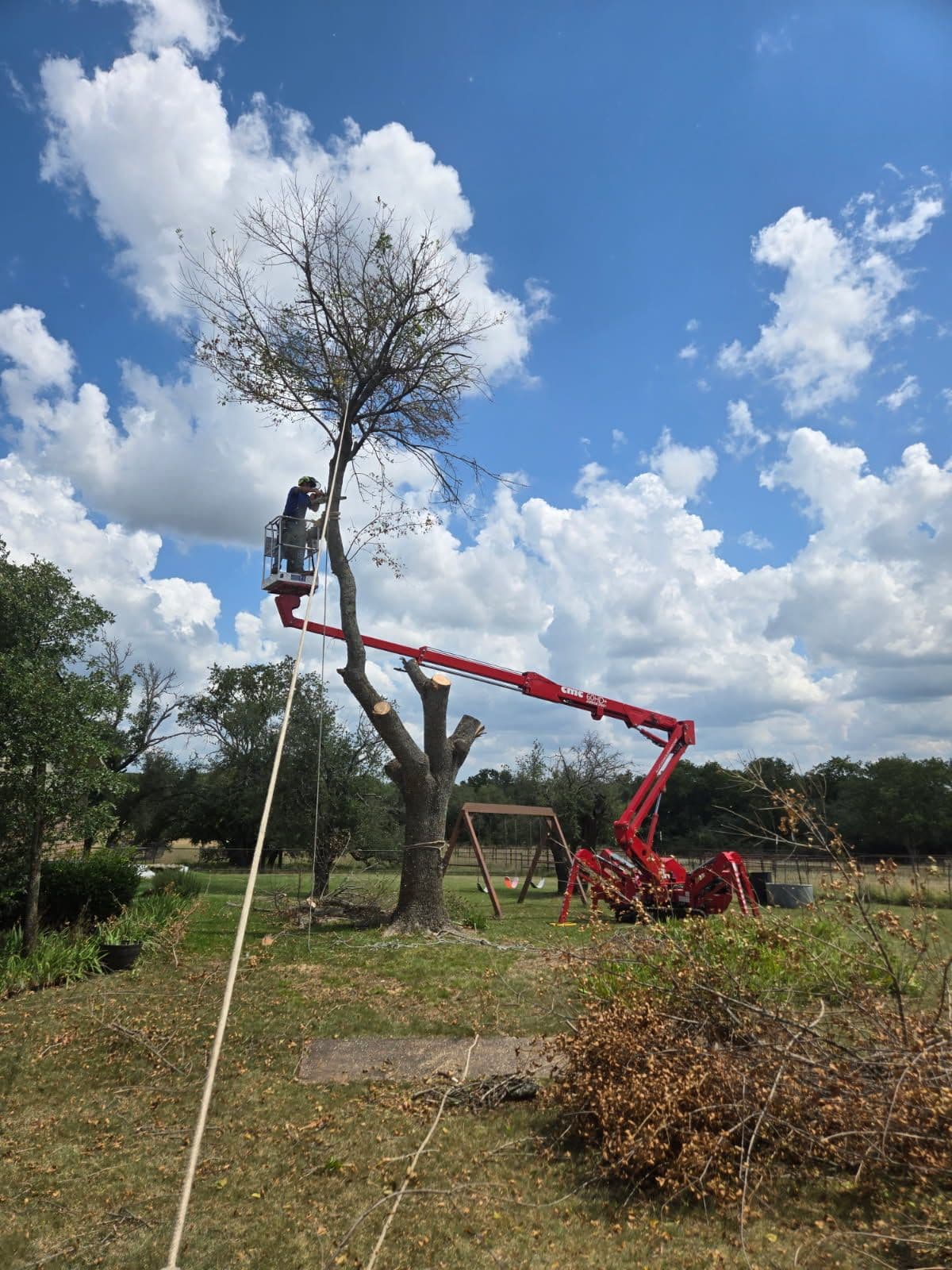 Project Tree Removed Using Cherry Picker Due to Emerald Ash Borer image