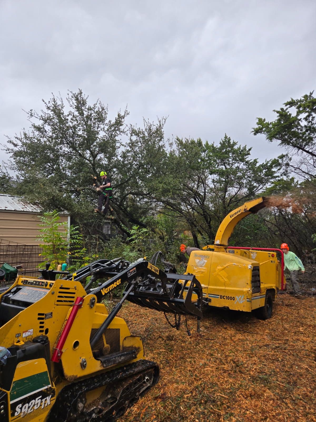 Efficient Land Clearing in Morgans Point Resort TX image