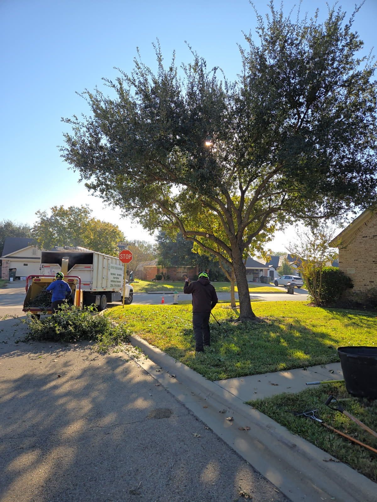 Project Tree Trimming in Belton TX image