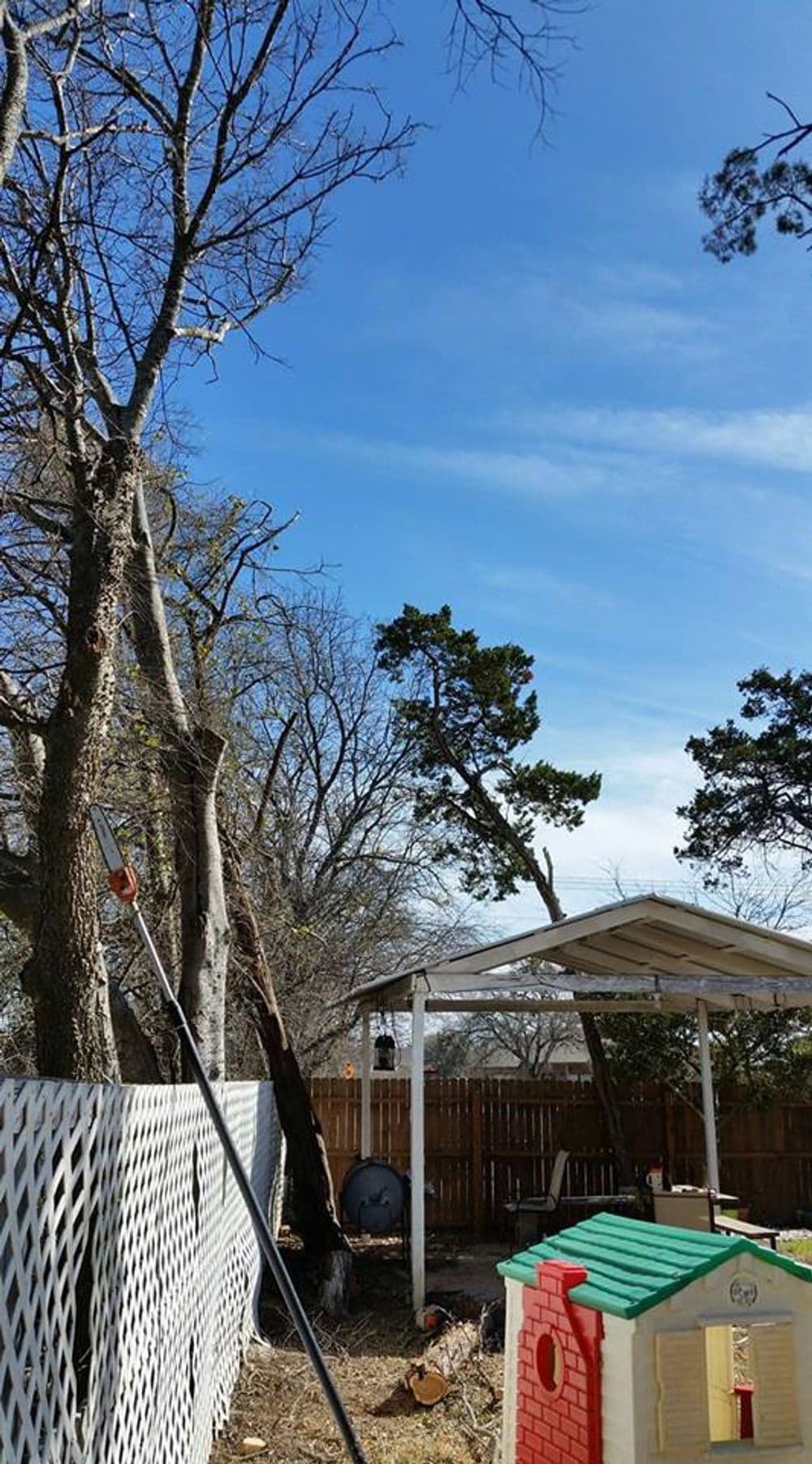 Backyard scene featuring bare trees, a playhouse, and a clear blue sky.