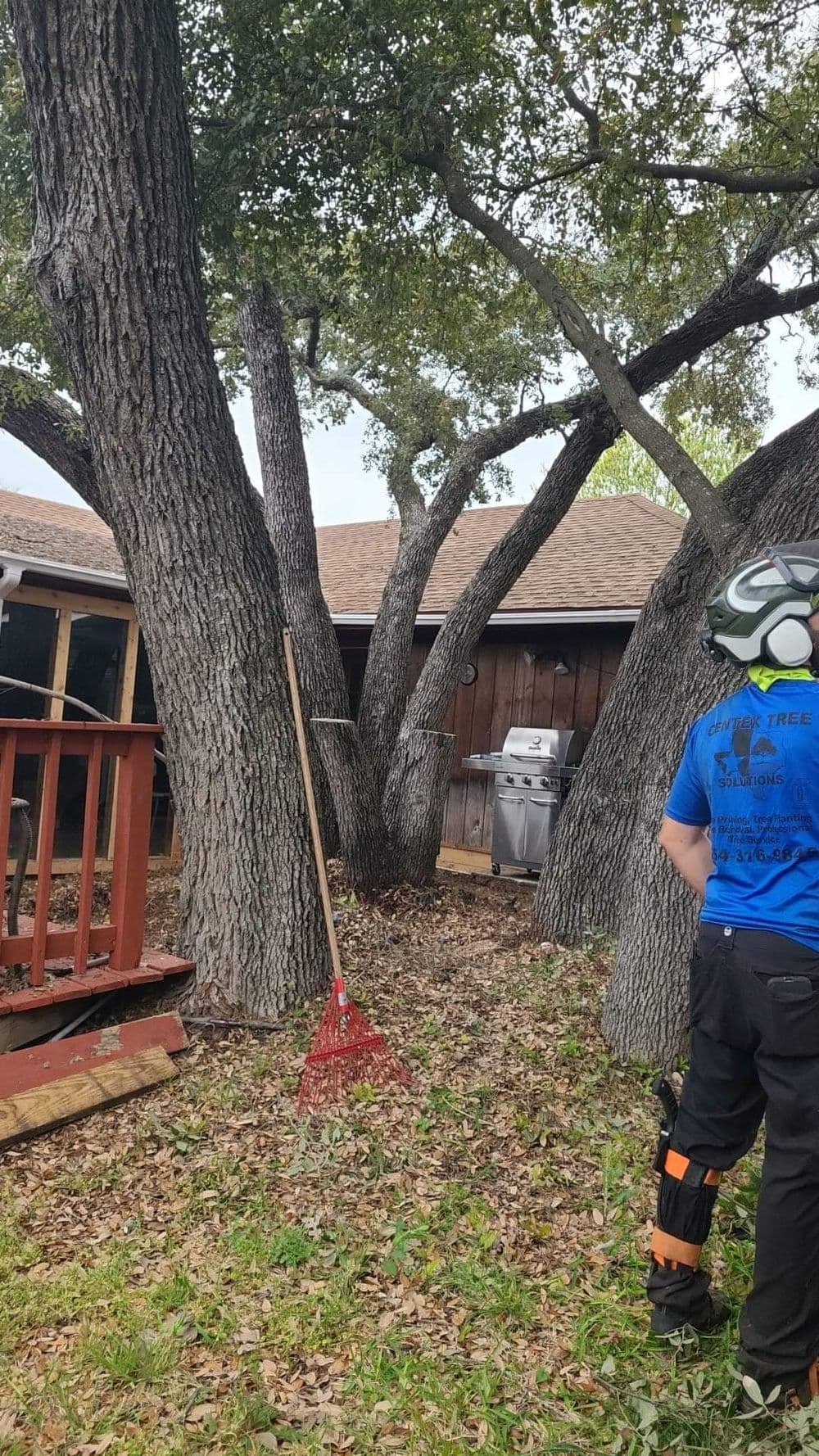 Person raking leaves in a backyard with mature trees and a grill visible in the background.
