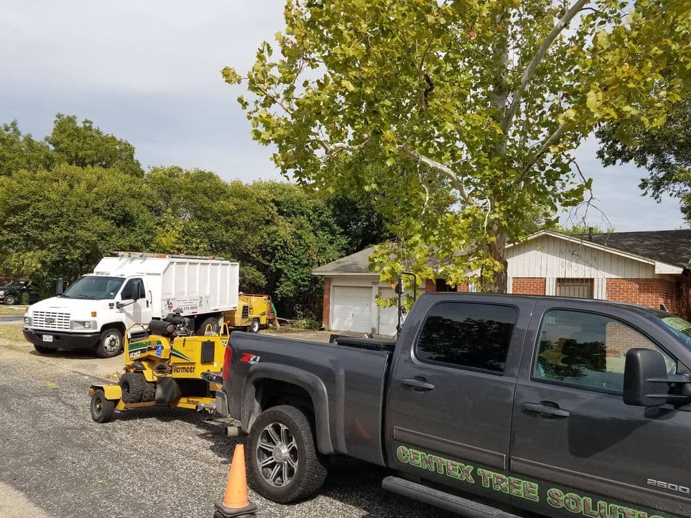Tree service truck and equipment parked outside a residential home for landscaping work.