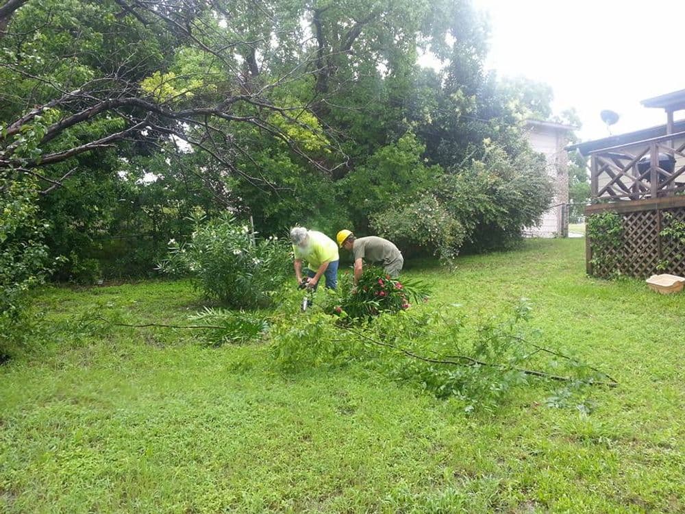 Two workers trimming overgrown bushes in a residential yard under cloudy skies.