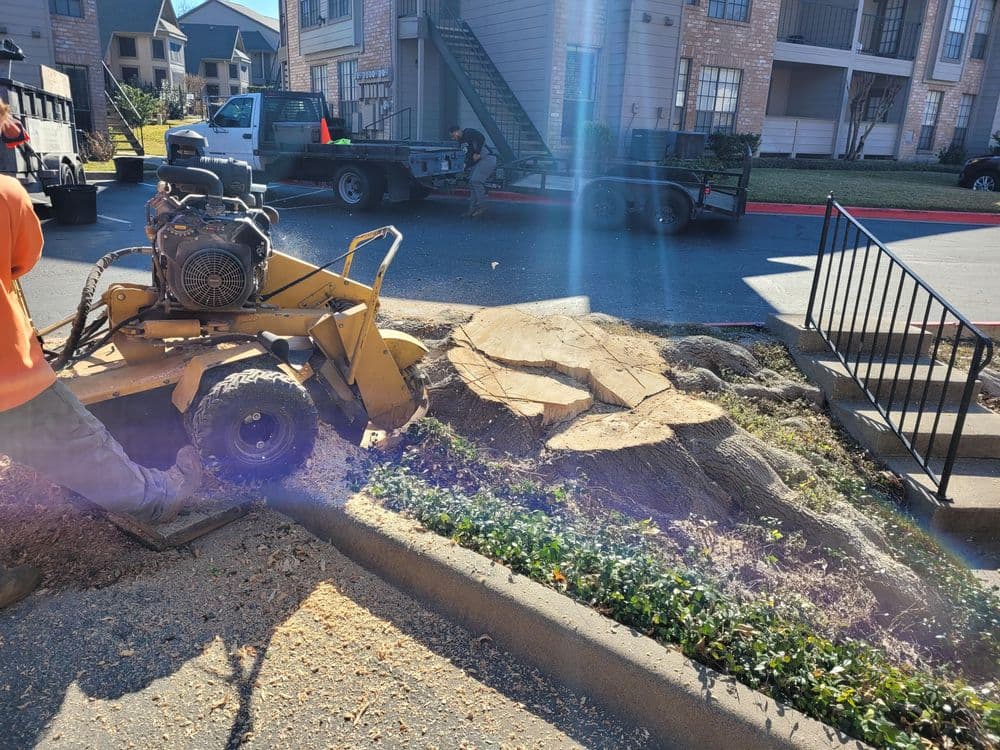 Tree stump being ground down in a residential area with workers and equipment visible.