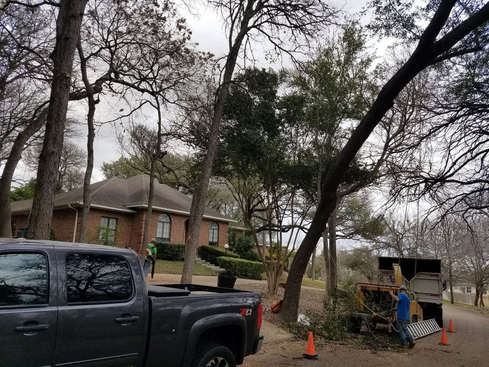 Tree removal service in progress outside a brick house with workers and equipment visible.