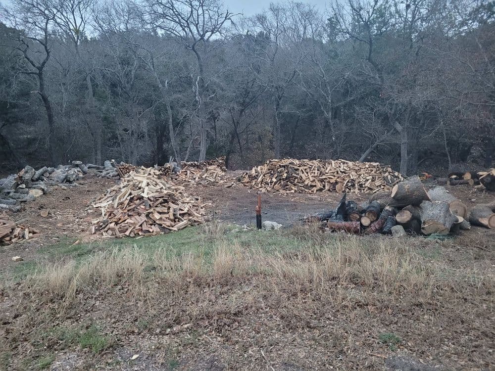 Woodpile in a forested area with stacked logs and chopped firewood.