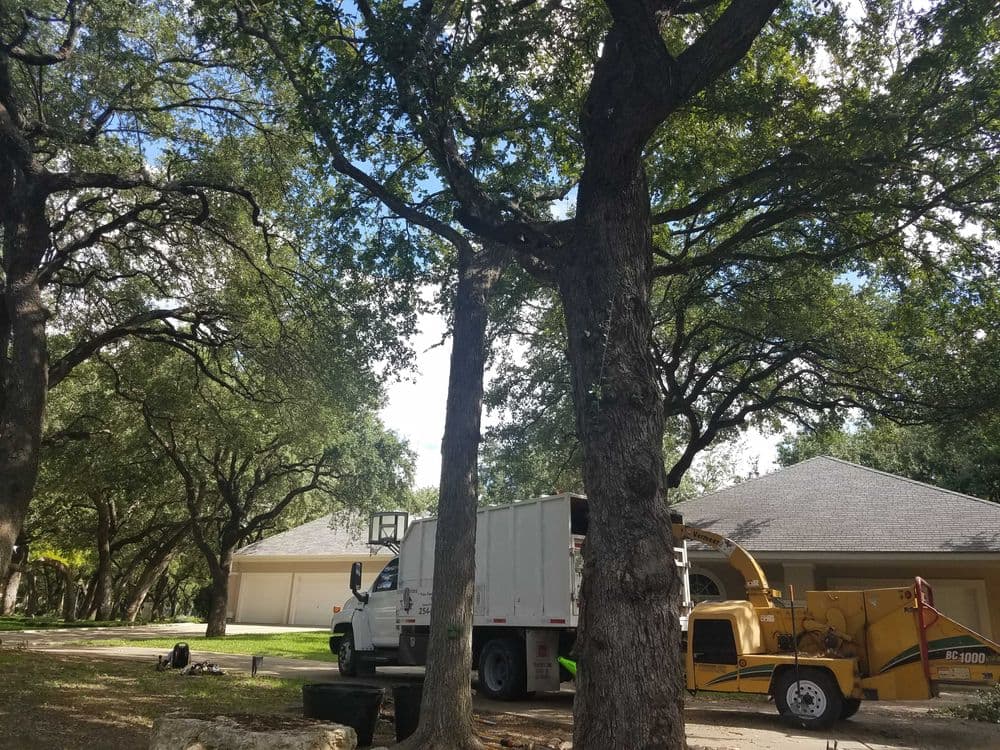 Tree removal service with truck and chipper near residential home. Green trees and clear sky.