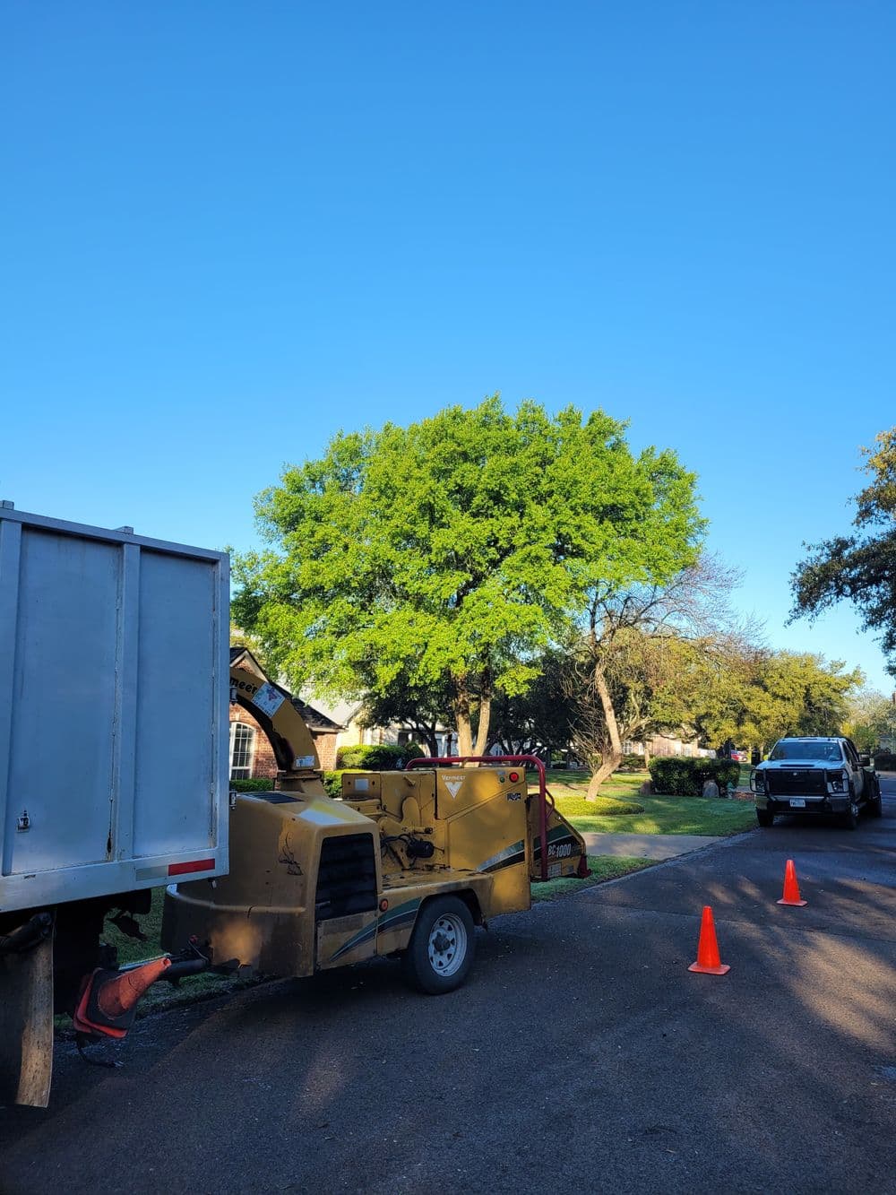 Tree removal equipment working on a residential street under a clear blue sky.