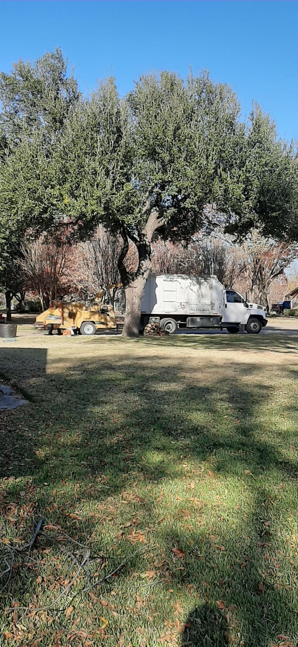 Truck and equipment parked under a tree on a grassy area, surrounded by autumn leaves.