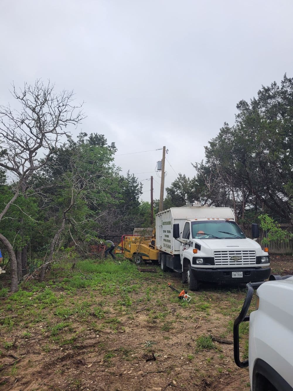 Tree care service truck and equipment in a grassy area with workers trimming trees.