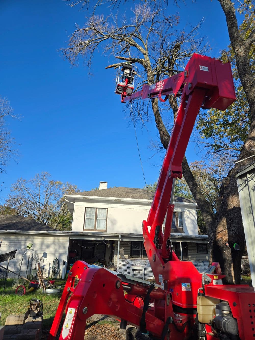 Red lift equipment elevating a worker to trim tree branches near a house. Clear blue sky.