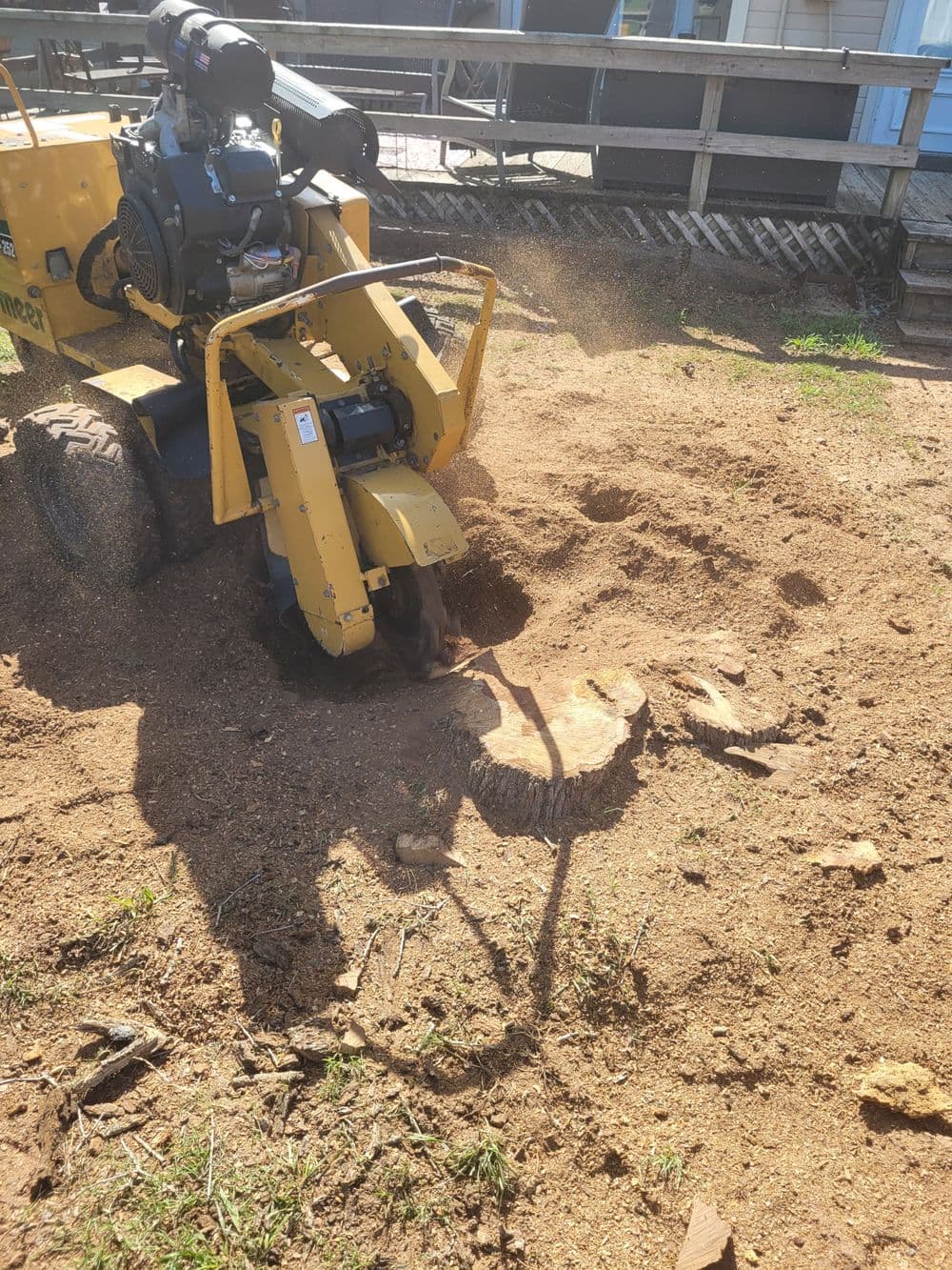 Tree stump grinder removing a large tree stump in a yard, with sawdust flying.