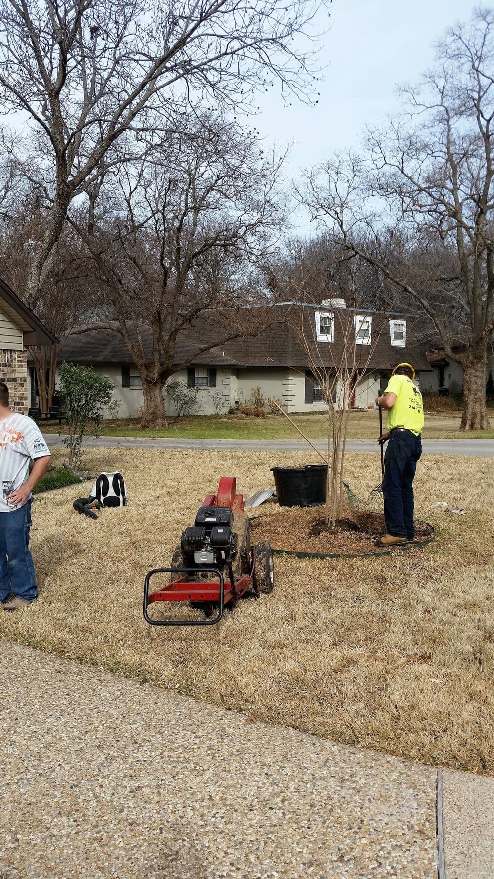 Landscapers using a tiller to plant a tree in a residential yard.