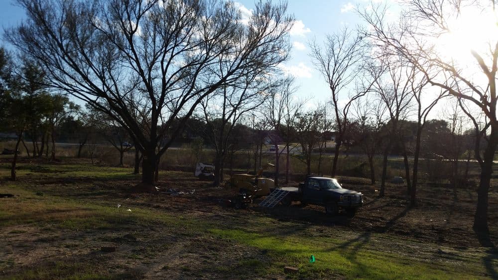 Sunlit rural landscape with bare trees, a truck, and construction machinery.