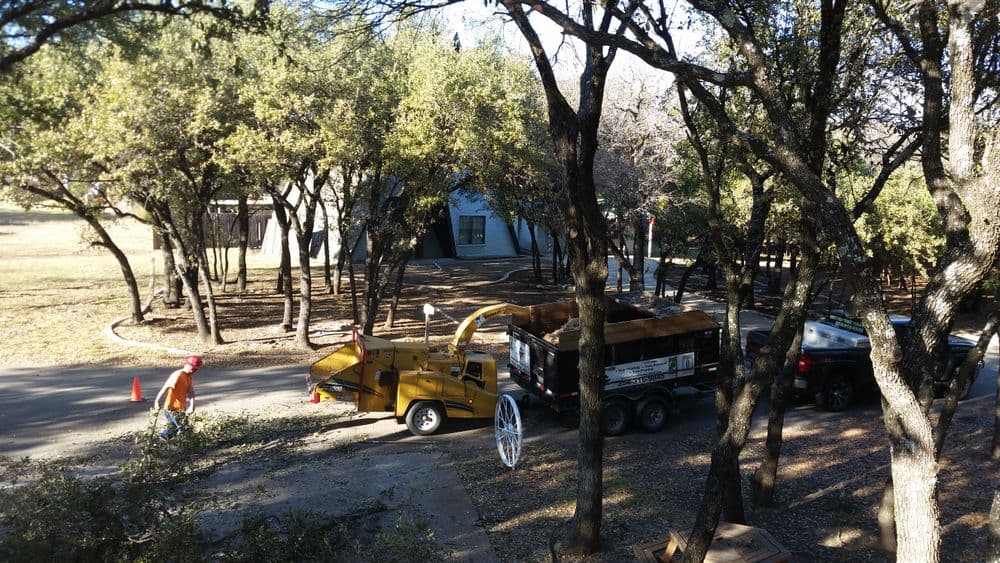 Tree maintenance crew using a chipper truck in wooded area on a sunny day.