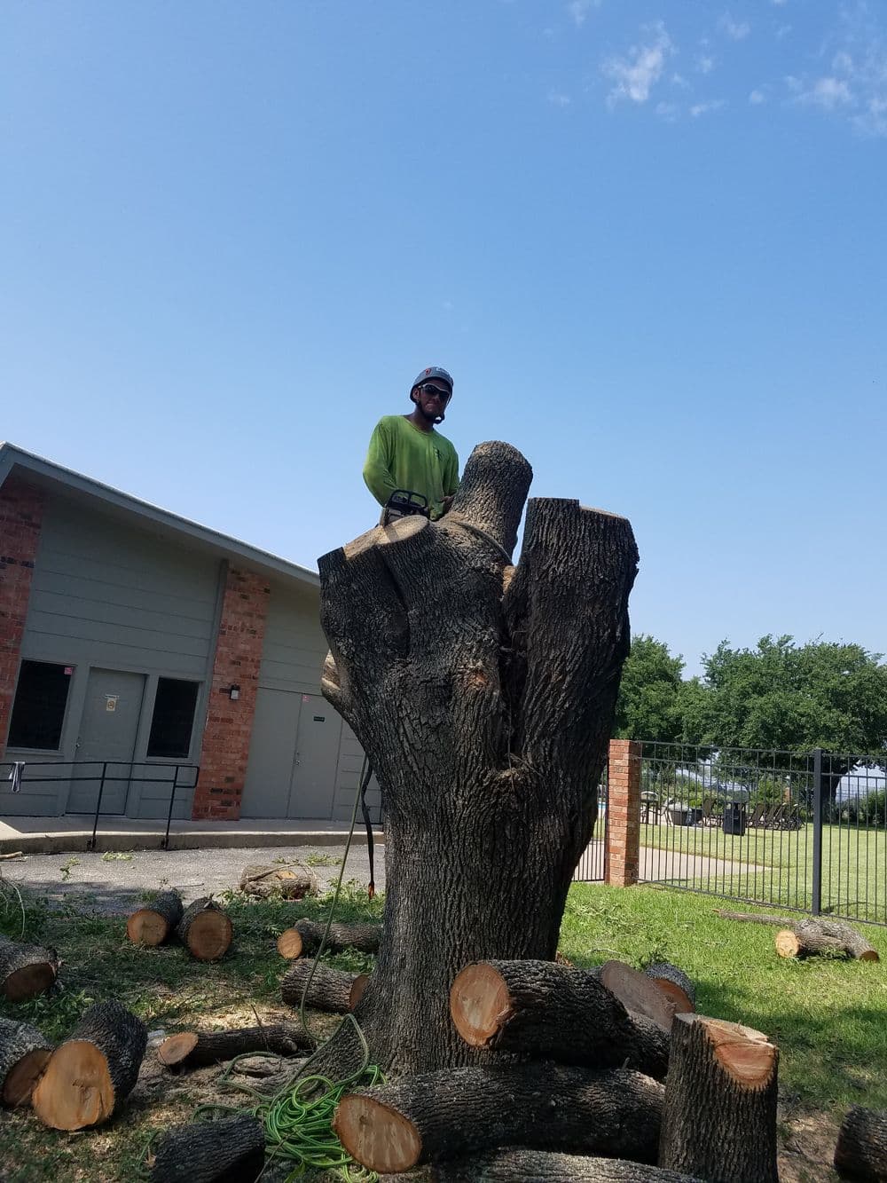 Tree removal professional standing on a tree stump, surrounded by cut logs and blue sky.