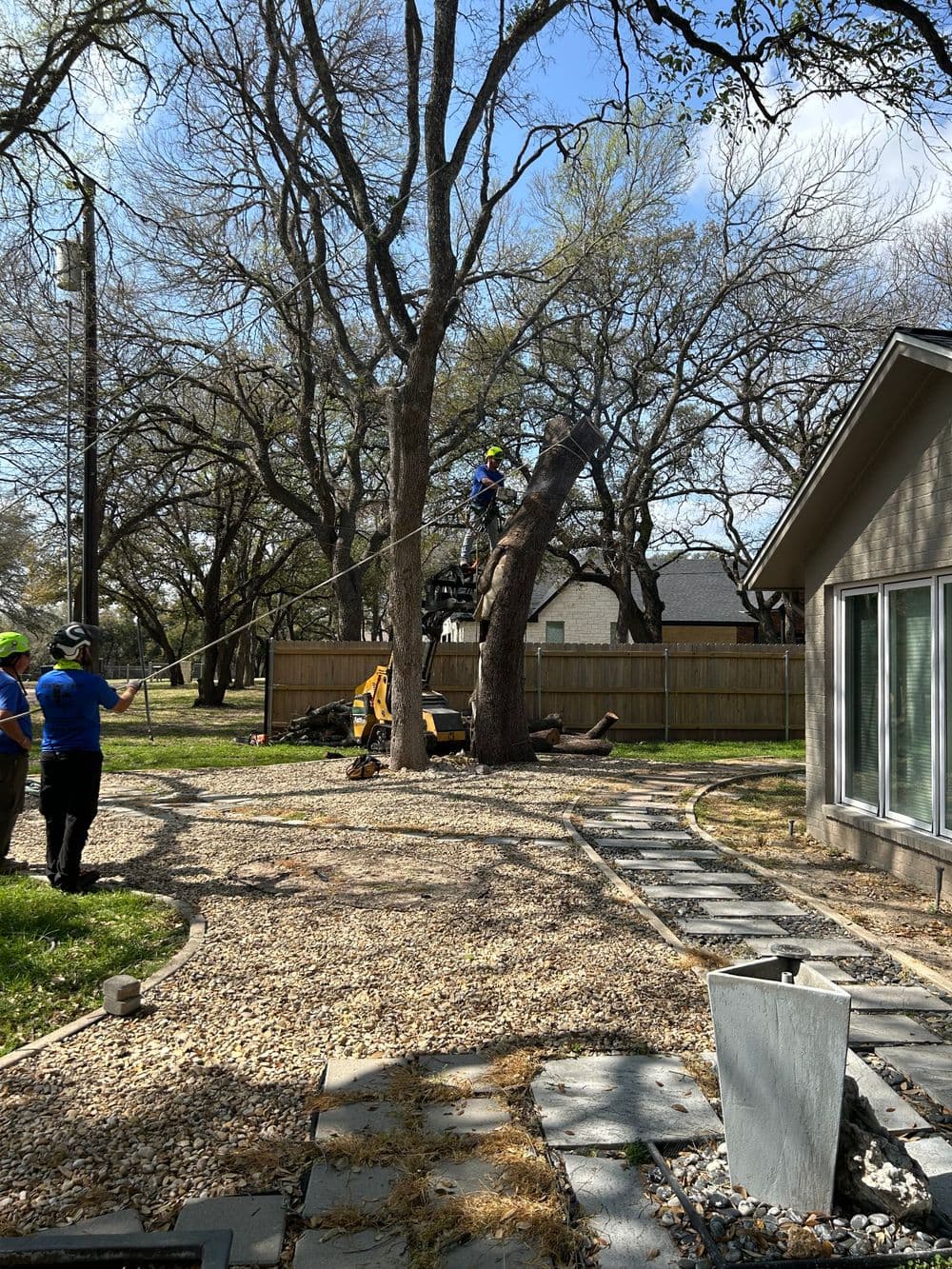 Tree removal service in action with worker using safety gear and equipment near residential area.