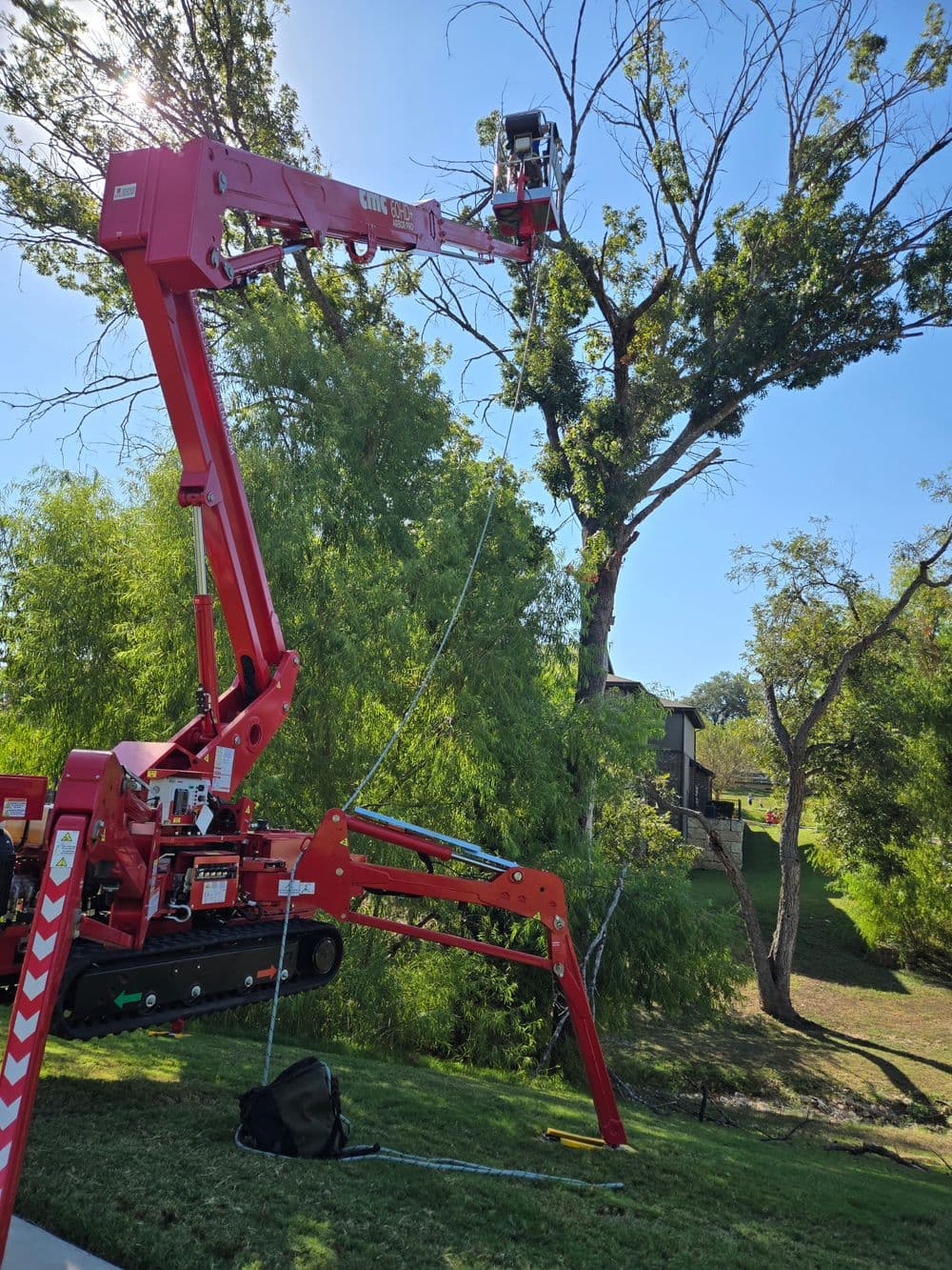Tree service crane trimming branches from a tall tree in a residential area on a sunny day.