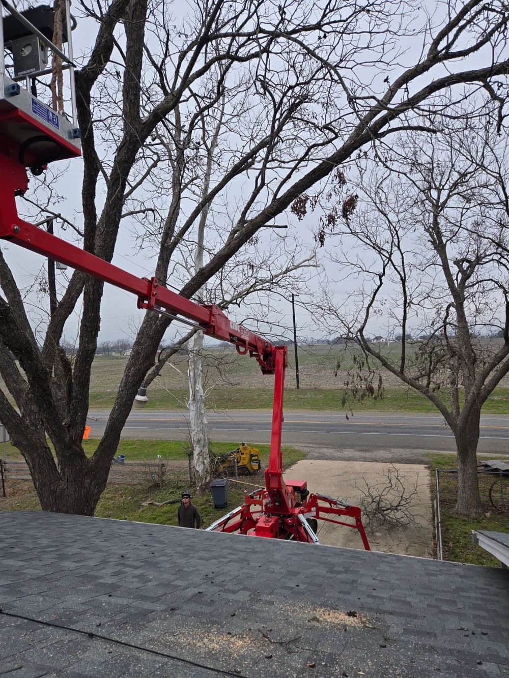 Red tree trimming lift extending towards bare tree branches on a cloudy day.