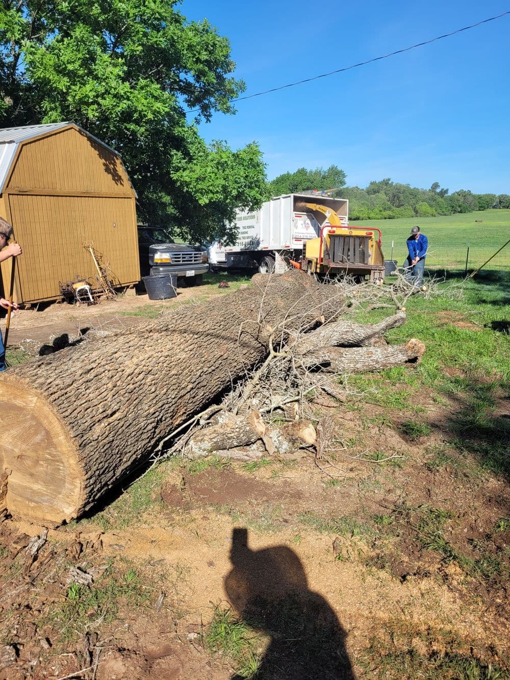 Log removal in yard with workers and machinery, surrounded by trees and a barn.