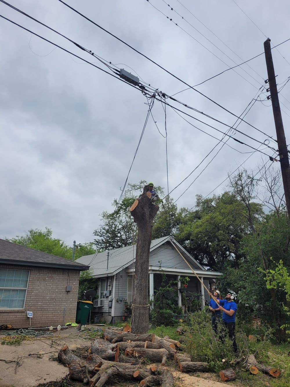 Tree removal in urban area with workers, power lines overhead, and a house in the background.
