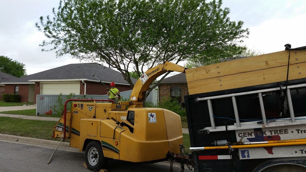 Tree service worker operating a wood chipper near a house, with truck for debris collection.