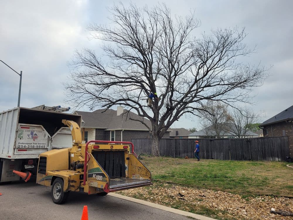 Tree trimming service in a residential area with workers and equipment.