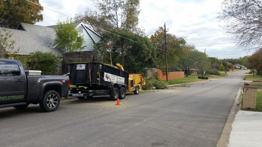 Tree trimming service with truck and debris container on a residential street.