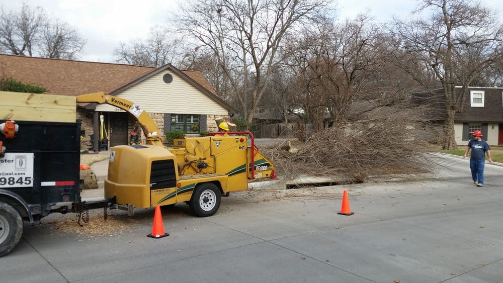 Tree removal truck shredding branches on a suburban street near houses and traffic cones.