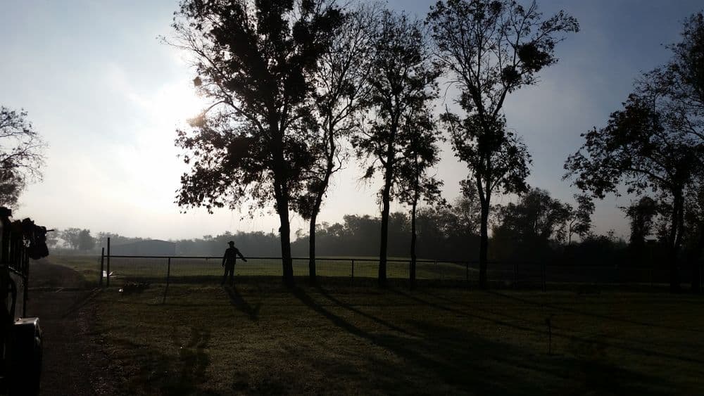 Silhouetted trees and a figure in a misty morning landscape with soft sunlight.