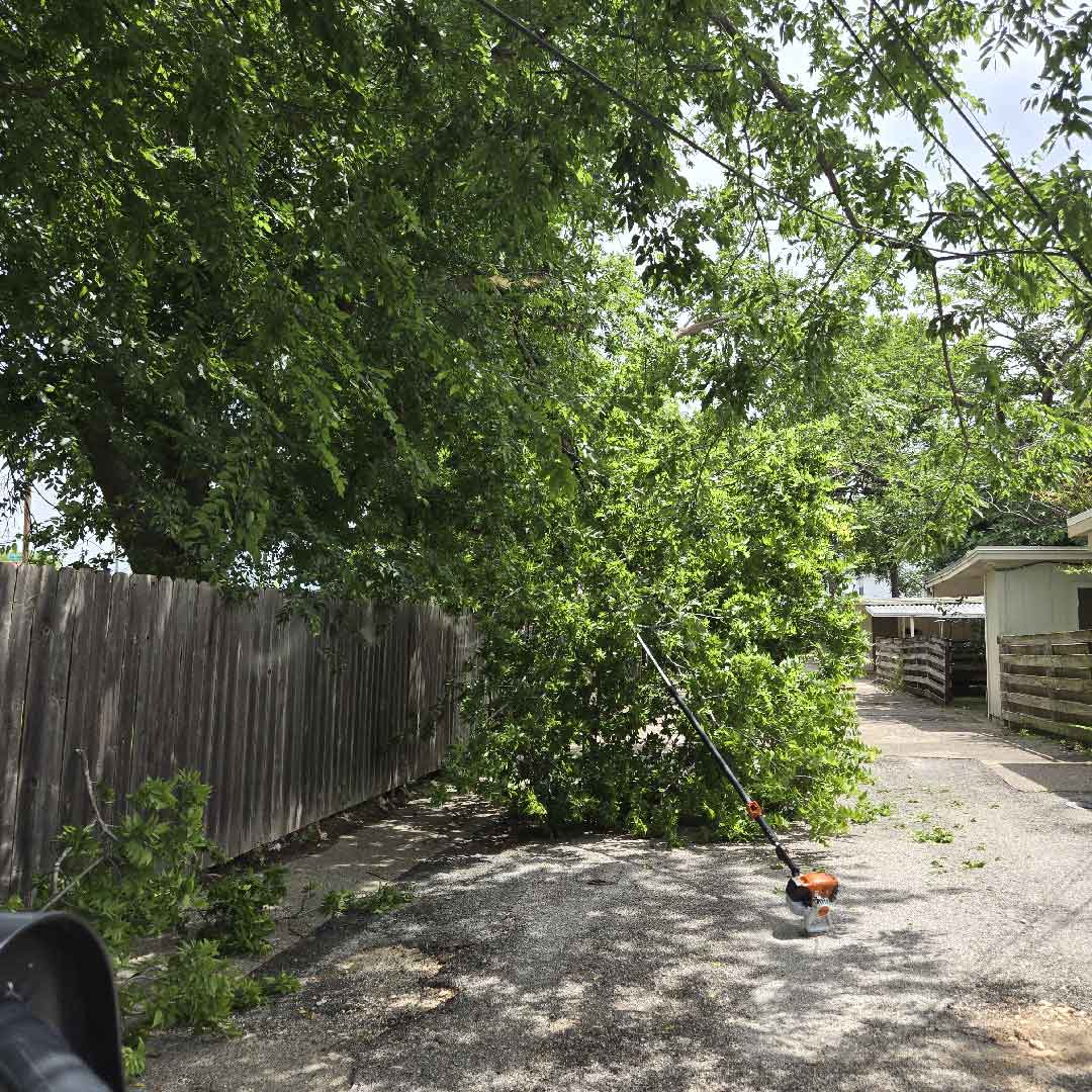 Emergency Tree Services