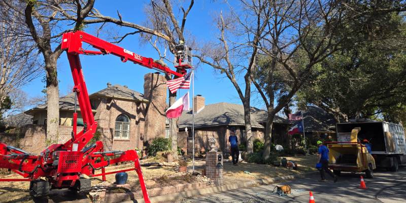 About Centex Tree Solutions